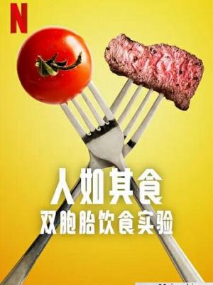 温暖的陪伴